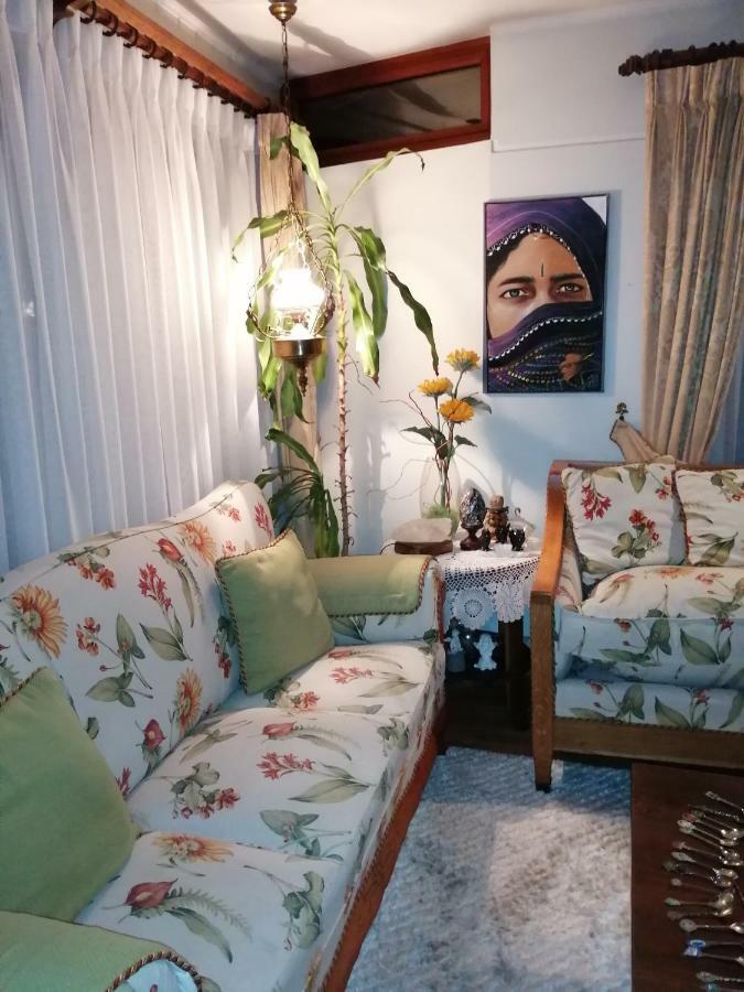 Posada Selva Negra Temuco Exteriér fotografie